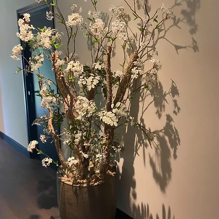 The 贝斯特